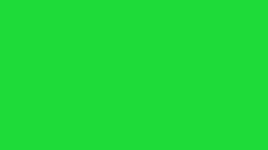 Mavi kredi kartı 2d animasyon hareketinin grafik yeşil arka planını döndürür. Yüksek kalite 4k görüntü