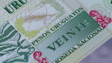 20 peso Uruguay parası ulusal para birimi yasal banknot tasarısı merkez bankası 3. Yüksek kalite 4k görüntü