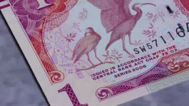 1 Trinidad ve Tobago dolar ulusal para birimi para yasal ihale faturası merkez bankası 4. Yüksek kalite 4k görüntü
