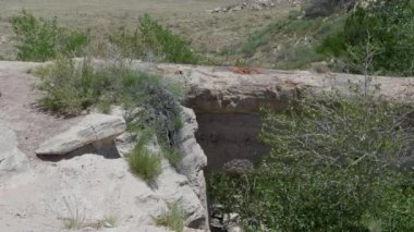Arizona Köprüsü taşlaşmış orman dış manzarası 2. Yüksek kalite 4k görüntü