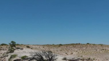 Arizona Köprüsü taşlaşmış orman dış manzara seyahat rotası 10. Yüksek kalite 4k görüntü