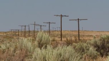 22. karayolu, Arizona 'nın taşlaşmış orman çöl seyahati. Yüksek kalite 4k görüntü