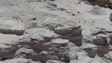 15 Arizona taşlaşmış orman mavi mesa çöl dış kayalar manzara turizmi. Yüksek kalite 4k görüntü
