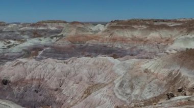 51 Arizona taşlaşmış orman, mavi mesa çöl manzarası dış kayalar dağların istikameti. Yüksek kalite 4k görüntü