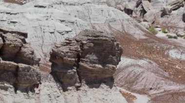 Arizona 'nın taşlaşmış 40 ormanı, mavi mesa çöl manzarası dış kayalar, dağların istikameti. Yüksek kalite 4k görüntü