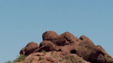 7 Papago Park Phoenix çifte tepesi Arizona temiz gökyüzü kaktüsü doğa botanik bahçesi çöl manzaralı seyahat. Yüksek kalite 4k görüntü