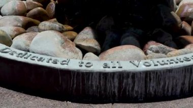 61 Phoenix Arizona kaktüs doğa botanik bahçesi çöl manzarası. Yüksek kalite 4k görüntü