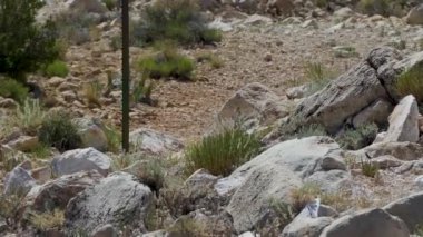 23, izinsiz giriş yok. Meteor krateri göktaşı doğal tarihi Winslow Arizona çöl seyahati. Yüksek kalite 4k görüntü