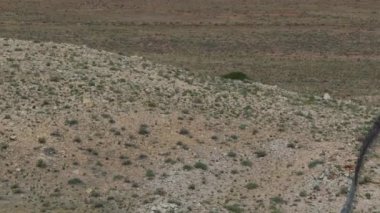Meteor kraterinde 35 Amerikan bayrağı. Göktaşı manzarası. Winslow Arizona çöl seyahati. Yüksek kalite 4k görüntü