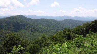 Blue Ridge Parkway yolu Kuzey Carolina manzara dağları uçurumu 10. Yüksek kalite 4k görüntü