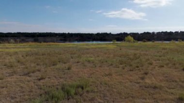 İnsansız hava aracı huzurlu gölü manzaralı bitki örtüsü ve açık mavi gökyüzü ile geçer. Yüksek kalite 4k görüntü