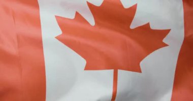 Video, Kanada bayraklarının canlı renklerini ve detaylarını vurguluyor. Akçaağaç yaprağının zarif bir şekilde sallanmasıyla gurur uyandırıyor.