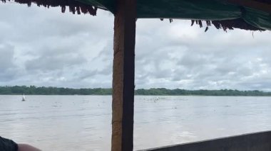 Amazon Nehir Kıyısı Boyunca Huzurlu Tekne Gezisi. Yüksek kalite 4k görüntü