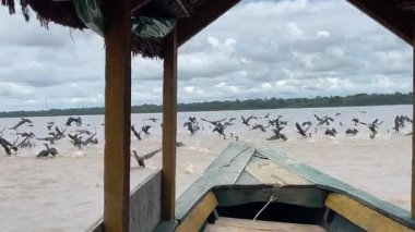 Bu video, üzerinde kuşlar süzülürken nehirde süzülen bir tekneyi gösteriyor. Sakin sular berrak gökyüzünü yansıtıyor, barışçıl bir ortam yaratıyor.