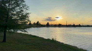 Soft Waves ve Overhang Branches tarafından çerçevelenmiş 18 Lake Sunset. Yüksek kalite 4k görüntü
