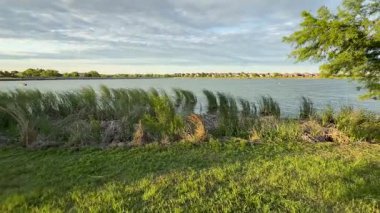 30 Lake Breeze Esintisi Bulutlu Gökyüzünün Altındaki Uzun Çimenler. Yüksek kalite 4k görüntü