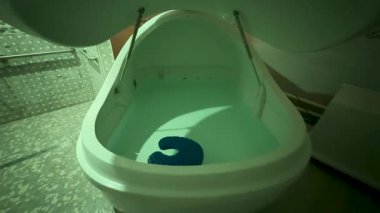 Rahatlamak için yüzen bir tankın olduğu sakin bir banyo keşfedin. Sakinleştirici mavi bir yastık alanı genişletirken, bir insan huzur içinde süzülür.