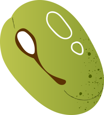 Sağlıklı yiyecekler için Mung fasulyesi.