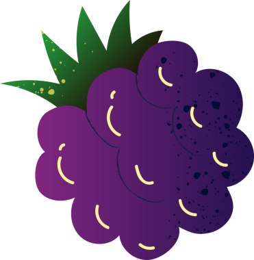 Böğürtlen böğürtlen taze organik