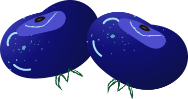 Yaban mersini taze organik.