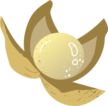 Çilekli duku taze organik