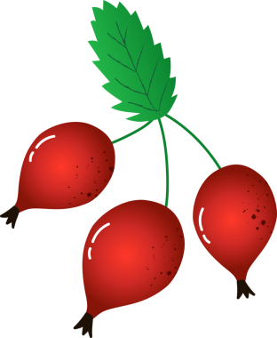 Sprig berry gül suyu taze organik