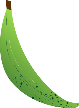 Tam yeşil incir taze meyve.