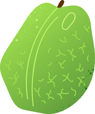 Tam guava taze organik meyve