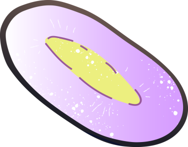 Parça jambolan taze organik meyve