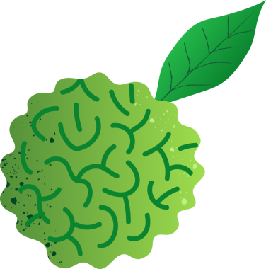 Tam kaffir limon taze meyve.