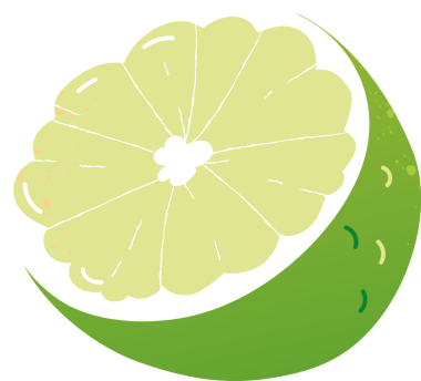 Parça limon taze organik meyve