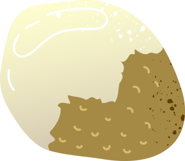 Longan taze organik meyvesi