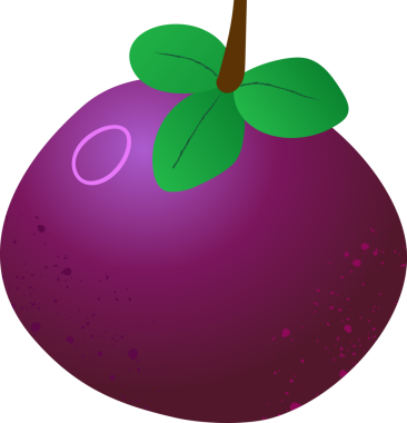 Tüm mangosteen taze organik meyve