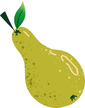 Tam armut taze organik meyve.