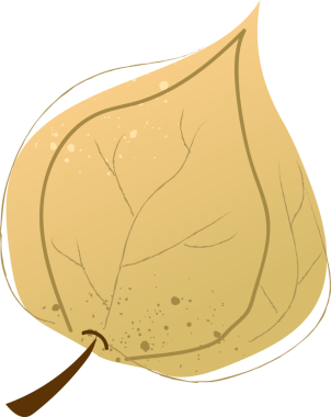 Tüm fisalis taze organik meyve