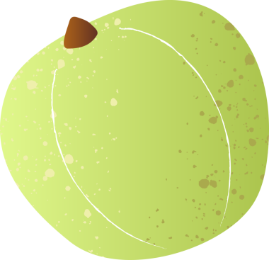 Tüm taze organik meyve