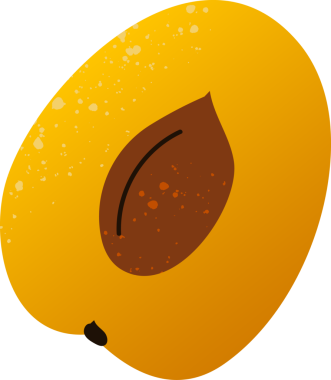 Kayısı taze organik meyve.