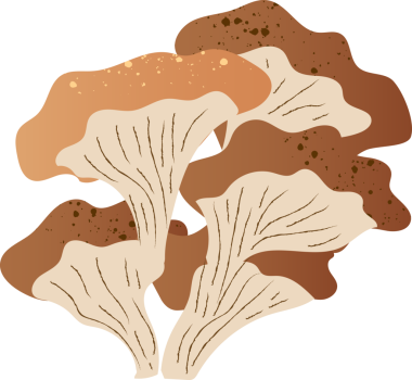 Mantar, istiridye taze organik yiyecek.