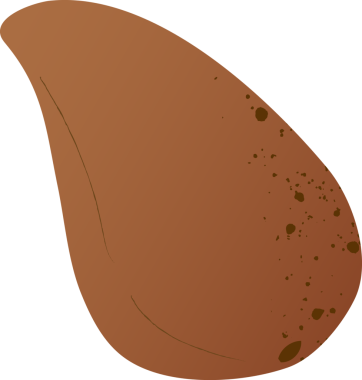 Tüm çam fıstığı taze organik