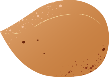 Tam badem taze organik fındık.