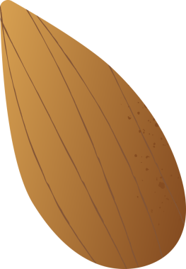 Tam badem taze organik fındık.