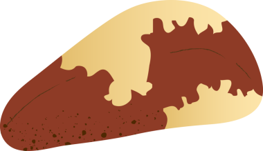 Tüm Brezilya cevizi taze organik