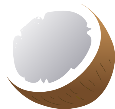 Hindistan cevizi taze organik fındık