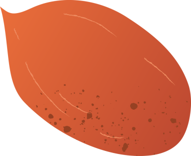 Tam fıstık taze organik fındık.