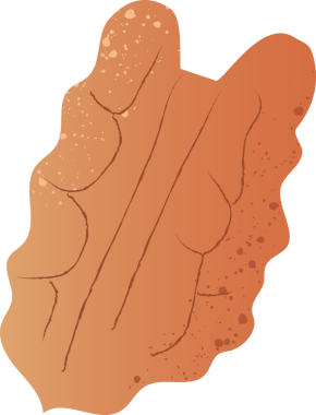 Cevizli taze organik fındık.