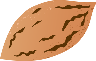 Cevizli taze organik fındık.