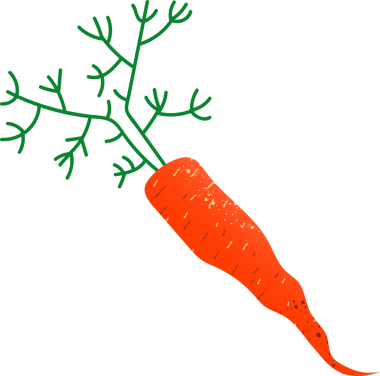 Tüm havuç organik taze sebzeler.