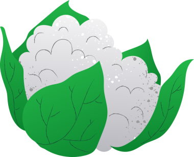 Tüm karnabahar organik taze sebzeler