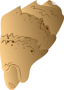 Tüm Kudüs enginarı organik sebzeler