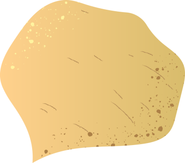 Bütün organik sebzeler.